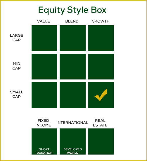 small market cap stocks