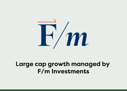 Large Cap Growth Portfolio
