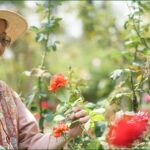Is Naming Retirement Plan Beneficiaries Halal?